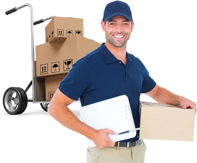 About Sunrise Packers and Movers Noida