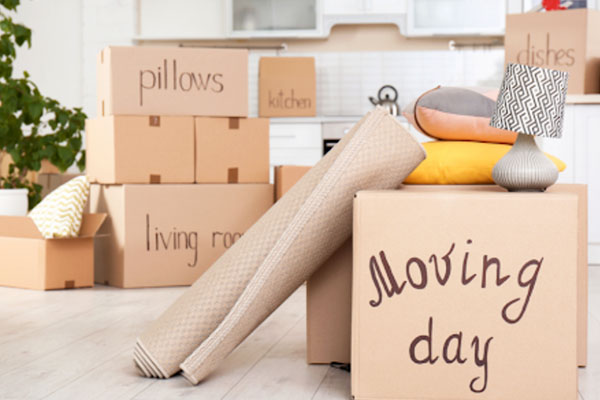 Domestic Relocation